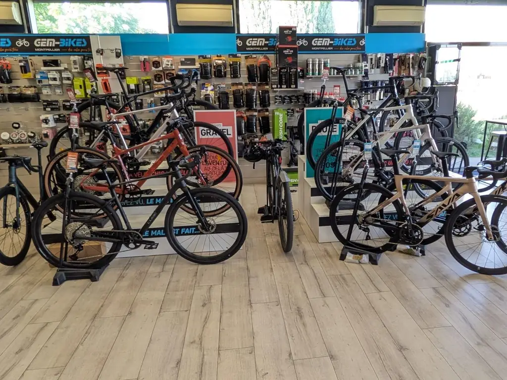 Rangée de vélos de route et de gravel exposés dans le magasin
